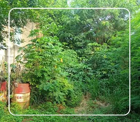 TANAH KOSONG - Ciputat